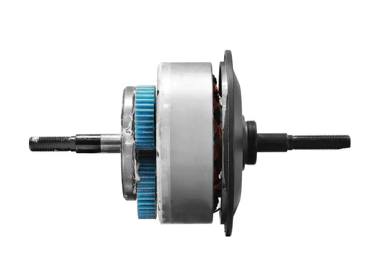 Big Dog Rear Hub Motor Himiway