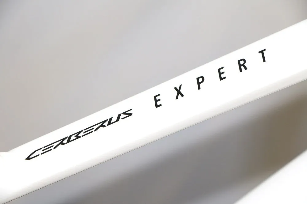 TITAN RACING Cerberus Expert (2025)
